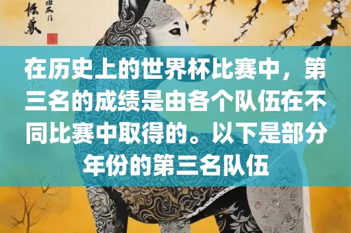 在历史上的世界杯比赛中，第三名的成绩是由各个队伍在不同比赛中取得的。以下是部分年份的第三名队伍