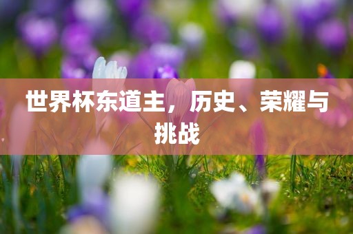 世界杯东道主，历史、荣耀与挑战