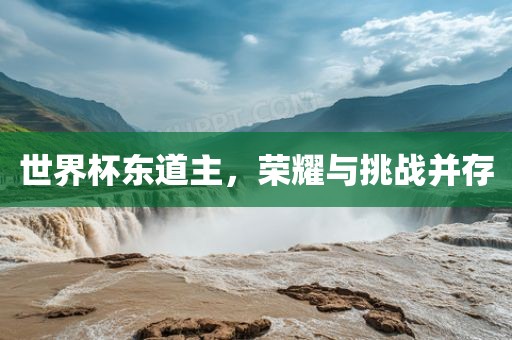 世界杯东道主，荣耀与挑战并存
