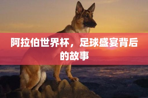 阿拉伯世界杯，足球盛宴背后的故事