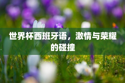 世界杯西班牙语，激情与荣耀的碰撞