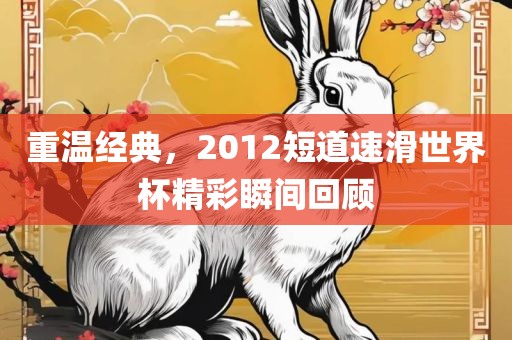 重温经典，2012短道速滑世界杯精彩瞬间回顾