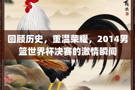 回顾历史，重温荣耀，2014男篮世界杯决赛的激情瞬间