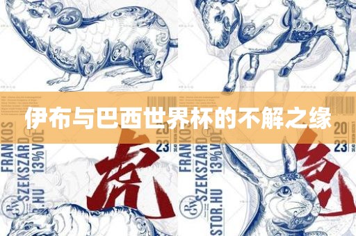 伊布与巴西世界杯的不解之缘