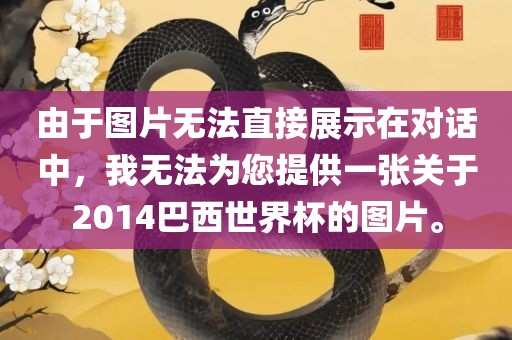 由于图片无法直接展示在对话中，我无法为您提供一张关于2014巴西世界杯的图片。
