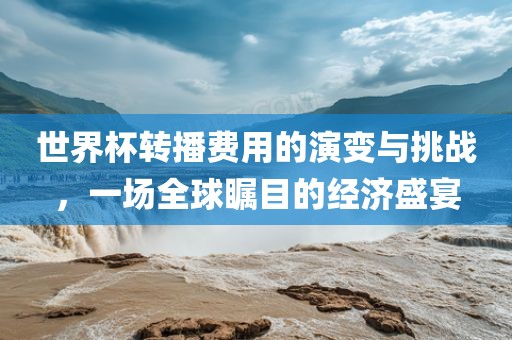 世界杯转播费用的演变与挑战，一场全球瞩目的经济盛宴