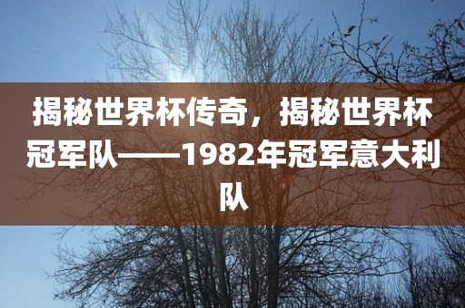 揭秘世界杯传奇，揭秘世界杯冠军队——1982年冠军意大利队
