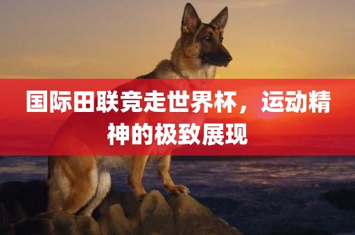国际田联竞走世界杯，运动精神的极致展现