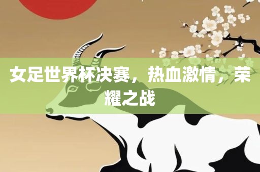 女足世界杯决赛，热血激情，荣耀之战