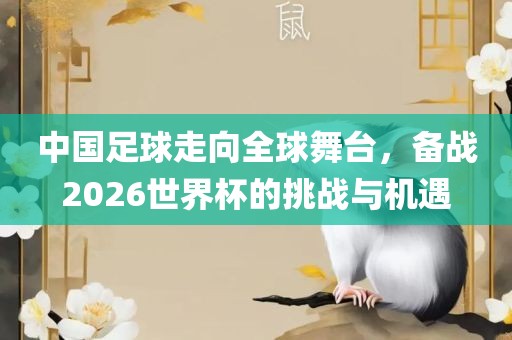 中国足球走向全球舞台，备战2026世界杯的挑战与机遇