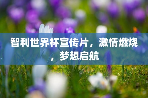 智利世界杯宣传片，激情燃烧，梦想启航