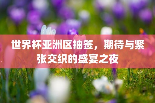 世界杯亚洲区抽签，期待与紧张交织的盛宴之夜