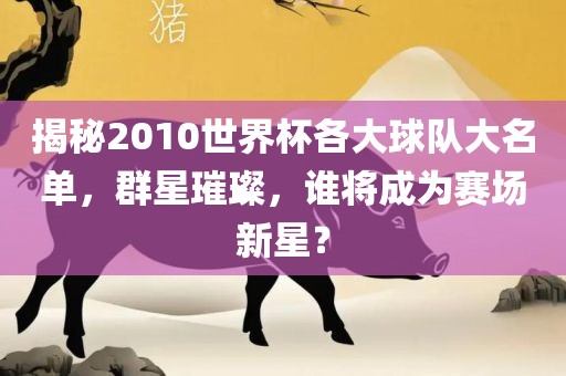 揭秘2010世界杯各大球队大名单，群星璀璨，谁将成为赛场新星？