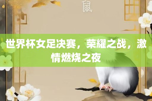 世界杯女足决赛，荣耀之战，激情燃烧之夜吉安市靖泰电力工程有限公司