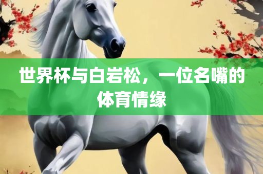 世界杯与白岩松，一位名嘴的体育情缘