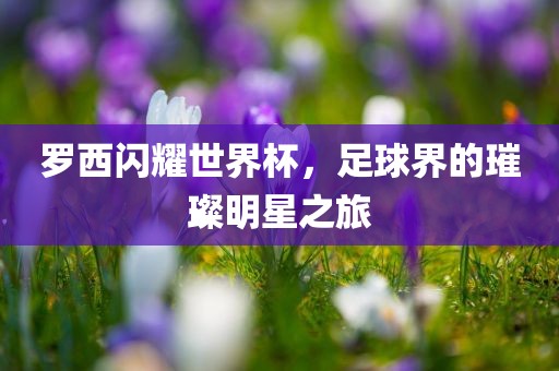 罗西闪耀世界杯，足球界的璀璨明星之旅