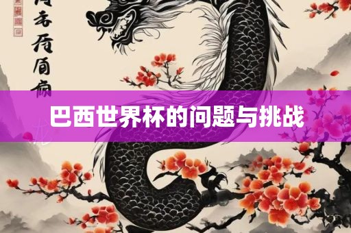巴西世界杯的问题与挑战
