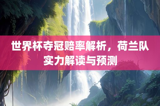 世界杯夺冠赔率解析，荷兰队实力解读与预测
