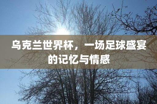 乌克兰世界杯，一场足球盛宴的记忆与情感