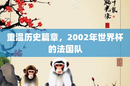 重温历史篇章，2002年世界杯的法国队