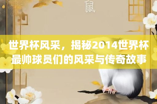 世界杯风采，揭秘2014世界杯最帅球员们的风采与传奇故事