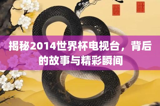 揭秘2014世界杯电视台，背后的故事与精彩瞬间