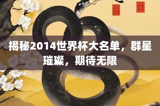 揭秘2014世界杯大名单，群星璀璨，期待无限