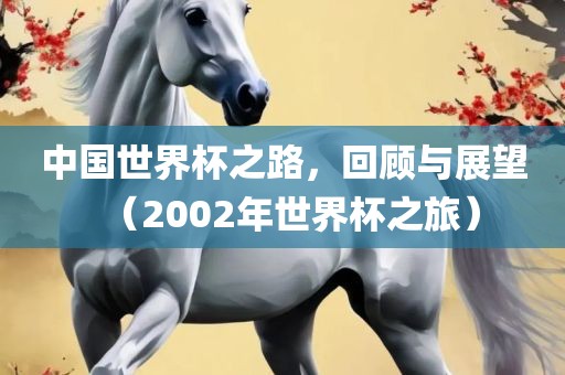 中国世界杯之路，回顾与展望（2002年世界杯之旅）