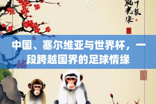 中国、塞尔维亚与世界杯，一段跨越国界的足球情缘