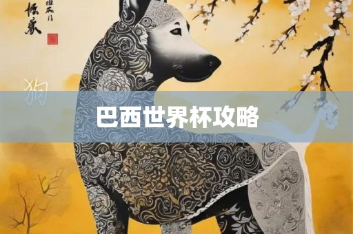 巴西世界杯攻略