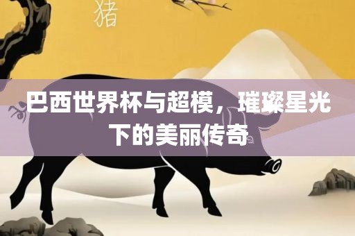 巴西世界杯与超模，璀璨星光下的美丽传奇