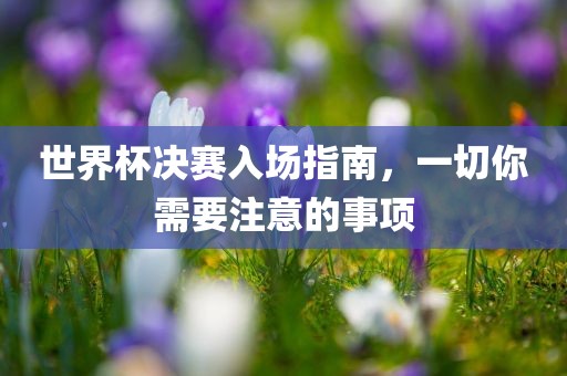 世界杯决赛入场指南，一切你需要注意的事项