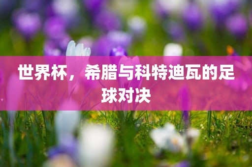 世界杯，希腊与科特迪瓦的足球对决
