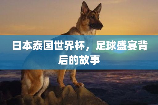 日本泰国世界杯，足球盛宴背后的故事