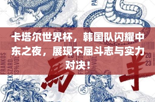 卡塔尔世界杯，韩国队闪耀中东之夜，展现不屈斗志与实力对决！
