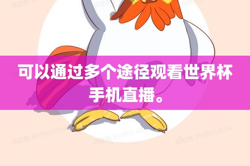 可以通过多个途径观看世界杯手机直播。