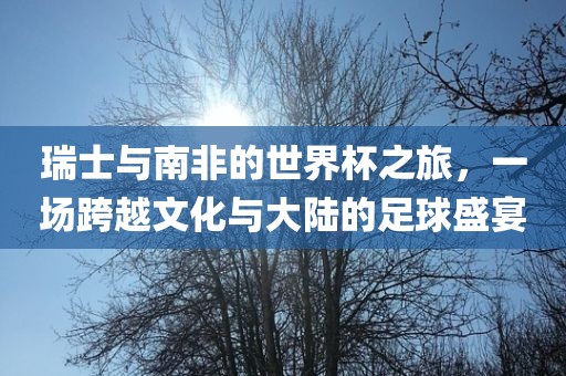瑞士与南非的世界杯之旅，一场跨越文化与大陆的足球盛宴