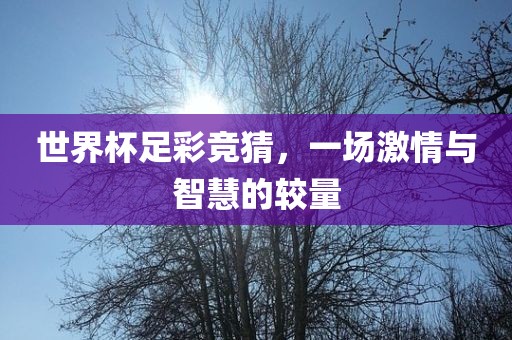 世界杯足彩竞猜，一场激情与智慧的较量