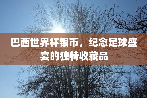 巴西世界杯银币，纪念足球盛宴的独特收藏品