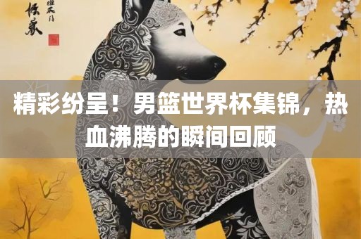 精彩纷呈！男篮世界杯集锦，热血沸腾的瞬间回顾