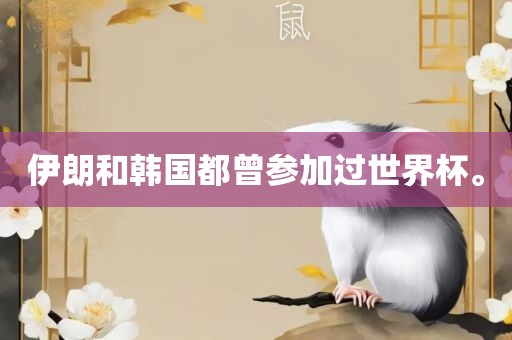 伊朗和韩国都曾参加过世界杯。