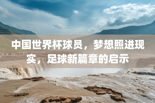 中国世界杯球员，梦想照进现实，足球新篇章的启示