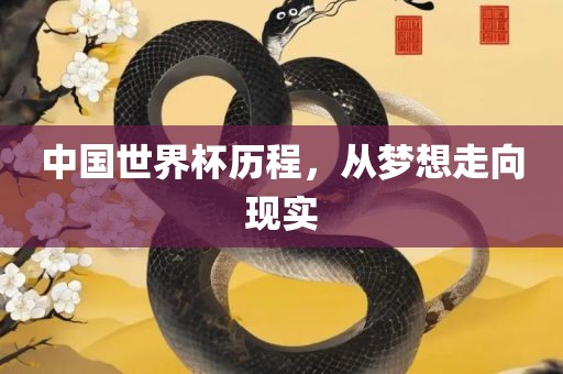 中国世界杯历程，从梦想走向现实
