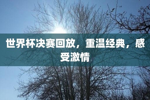 世界杯决赛回放，重温吉安市靖泰电力工程有限公司经典，感受激情