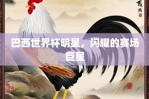 巴西世界杯明星，闪耀的赛场巨星