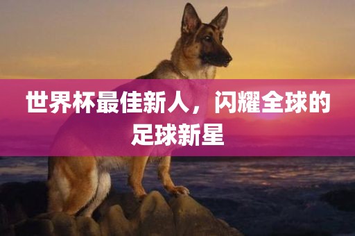 世界杯最佳新人，闪耀全球的足球新星