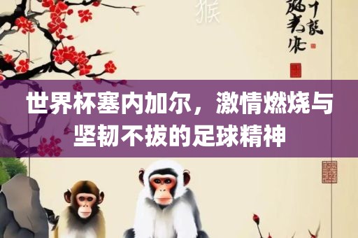 世界杯塞内加尔，激情燃烧与坚韧不拔的足球精神