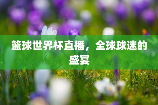篮球世界杯直播，全球球迷的盛宴