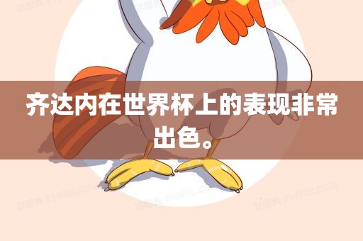 齐达内在世界杯上的表现非常出色。