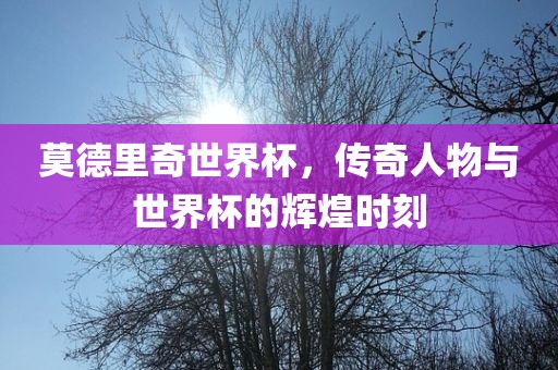 莫德里奇世界杯，传奇人物与世界杯的辉煌时刻